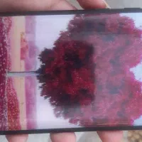 گوشی موبایل a10