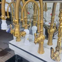 شیر شاوری