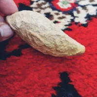 فسیل بی نظیری از ماهی|کلکسیون اشیاء عتیقه|تهران, استاد معین|دیوار