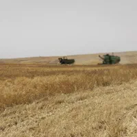 اجاره زمین آبی کشاورزی قصرشیرین