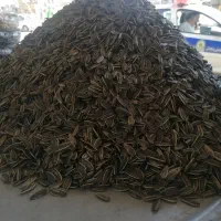 تخمه درجه یک|خوردنی و آشامیدنی|سرپل ذهاب, |دیوار