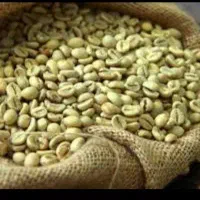 دان سبز قهوه