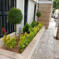 خدمات کل باغبانی|خدمات باغبانی و درختکاری|اسلامشهر, زرافشان|دیوار