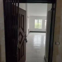 88متر-زنبق