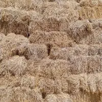 علوفه کاه با صرفه