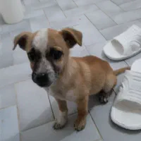 یه آقا پسر کوچولوی بانمک ۲ ماهه