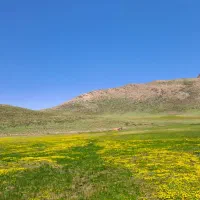 ترکینگ دشت مارپیت