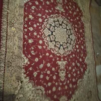 فرش ۶ متری|فرش|زاهدان, |دیوار