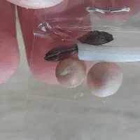 مهره اصل باتخفیف ۸۰۰هزار