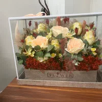 گل خواستگاری