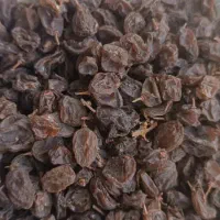 کشمش بدون هسته عسکری درجه یک