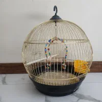 قفس بزرگ پرنده خارجی|لوازم جانبی حیوانات|اسلامشهر, شهرک واوان|دیوار