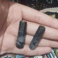 یک جفت مهره شجر اصل و یک جفت مهره نروماده