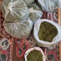 سبزی خشک شیوید نعنا پلویی توله آشی بالاترین کیفیت|خوردنی و آشامیدنی|رامهرمز, |دیوار