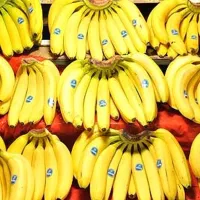 پخش میوه درجه یک مراسم تولد نامزدی عروسی ختم