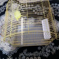 قفس پرنده|لوازم جانبی حیوانات|سنندج, |دیوار