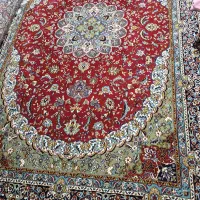 ۵۰۰ شانه مشهد تمیز در حد نو|فرش|سبزوار, هویزه|دیوار