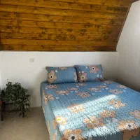 اجاره هشتی دربست کد 3000