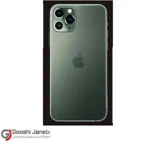 کارتون 11پرو سبز