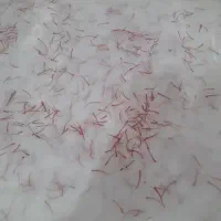 زعفران خشک کردن