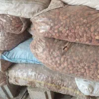 خرما ضایعات زاهدی|خوردنی و آشامیدنی|صوفیان, |دیوار