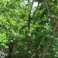 باغ-کشاورزی