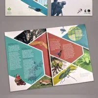 آموزش تخصصی نرم افزار ایلستریتور (Illustrator)|خدمات آموزشی|کرمانشاه, |دیوار