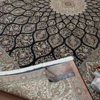 فرش ۱۲متری در حد نو|فرش|شیراز, وصال|دیوار