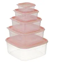 ظروف پنج تیکه