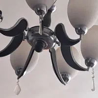 لوسر   ۷شاخه