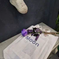 توت بگ پارچه ای|کیف، کفش، کمربند|قم, شهرک مهدیه (مدرس)|دیوار