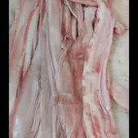 دمار گوسفندی منجمد (بره) درجه یک