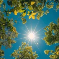 زمین ده بالا معاوضه با اپارتمان