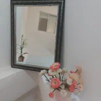 آینه دور چوب مشکی نقره ای