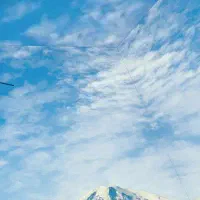 راهنمایی کنید.