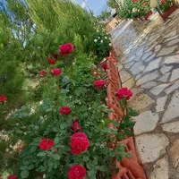 عکاسی و فیلمبرداری