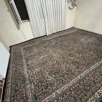 فرش 12 متری|فرش|پرند, فاز ۵|دیوار