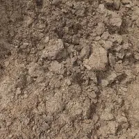 فروش کودگوسفند