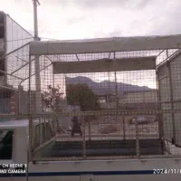 باربند مزدا تک کابین