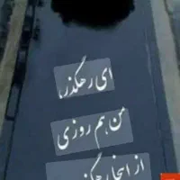 فروش قبر در قطعه خانواده شهدا|فروش زمین و ملک کلنگی|شیراز, دارالرحمه|دیوار