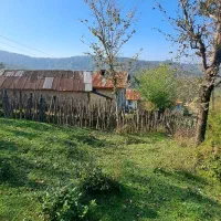 زمین باغی آینده دار /رو ارتفاع|فروش زمین و ملک کلنگی|سیاهکل, |دیوار