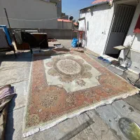 فرش ۱۲ متری|فرش|ساوه, |دیوار