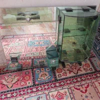 آیینه بالای روشویی و یک عدد تخت یک نفره