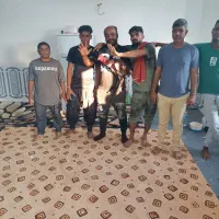 فروش خروس لاری|حیوانات مزرعه|میمند, |دیوار