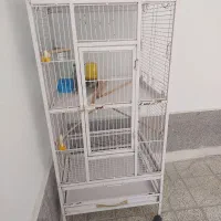 قفس