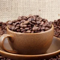 فروش ویژه قهوه عمده