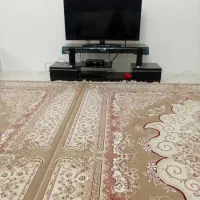 زیر تلوزیونی نو نو