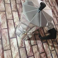 موکاپات . قهوه جوش .
