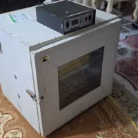 دستگاه جوجه کشی