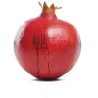 حجامت تخصصی